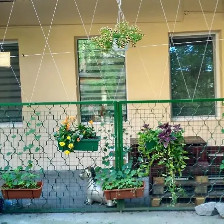 Gorsad Apartment