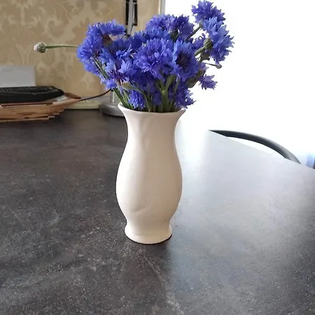 Apartmán Gorsad Oděsa